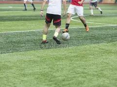 New,女团震撼全,荣登年度音,MG链接,MG官网地址,MG官方平台,MG入口站点