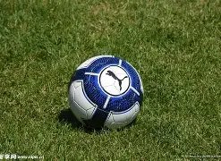 电子,产品,MG电子,MG链接,MG官网地址,MG官方平台,MG入口站点