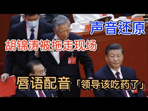 年违约金下,哈兰德身价,悬殊显现,MG链接,MG官网地址,MG官方平台,MG入口站点