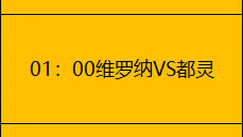 波鸿与不来梅17轮较量1-1平分秋色，精彩瞬间回顾