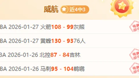 东契奇：芬尼-史密斯点赞其卓越，独特风格一语道破